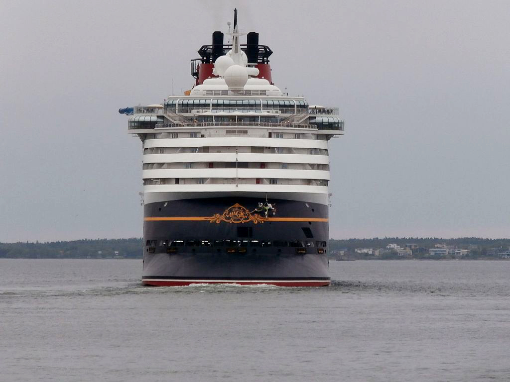 The Avery Review Degenerate Ark